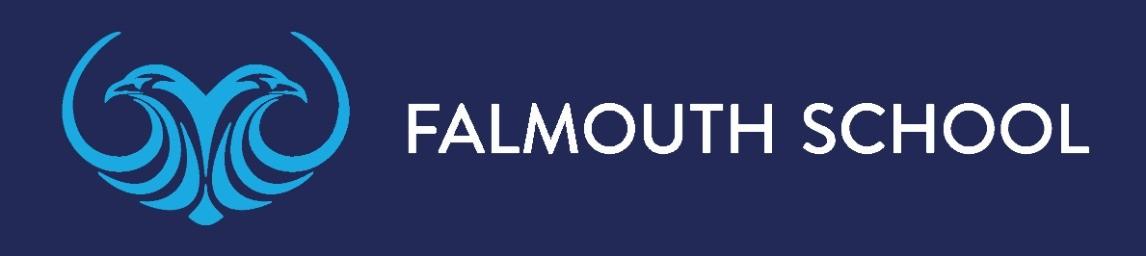 Falmouth School banner