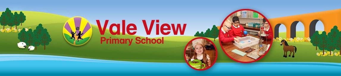 Vale View Primary School banner