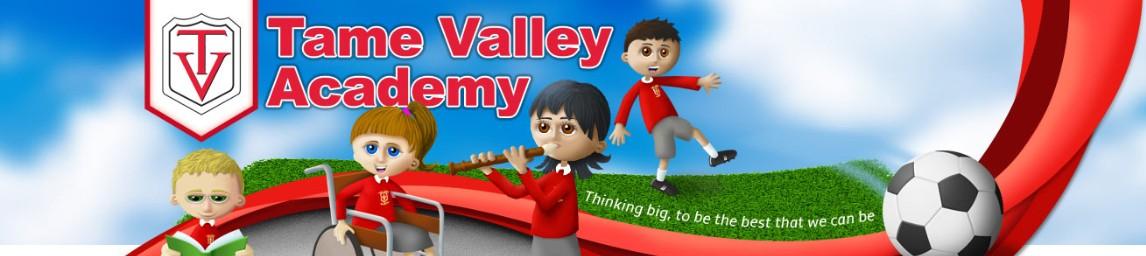 Tame Valley Academy banner