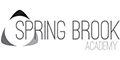 Spring Brook Academy - Upper School logo