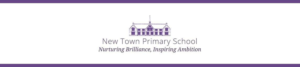 New Town Primary School banner