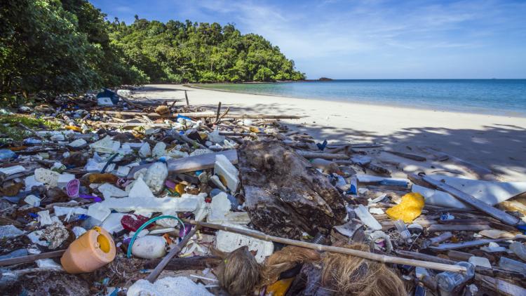 Single-use plastics: teaching resources | Tes