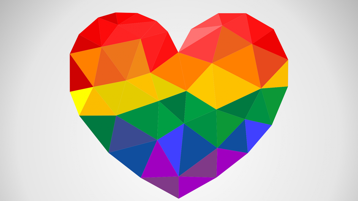 Image result for LGBT PLUS logo Norfolk