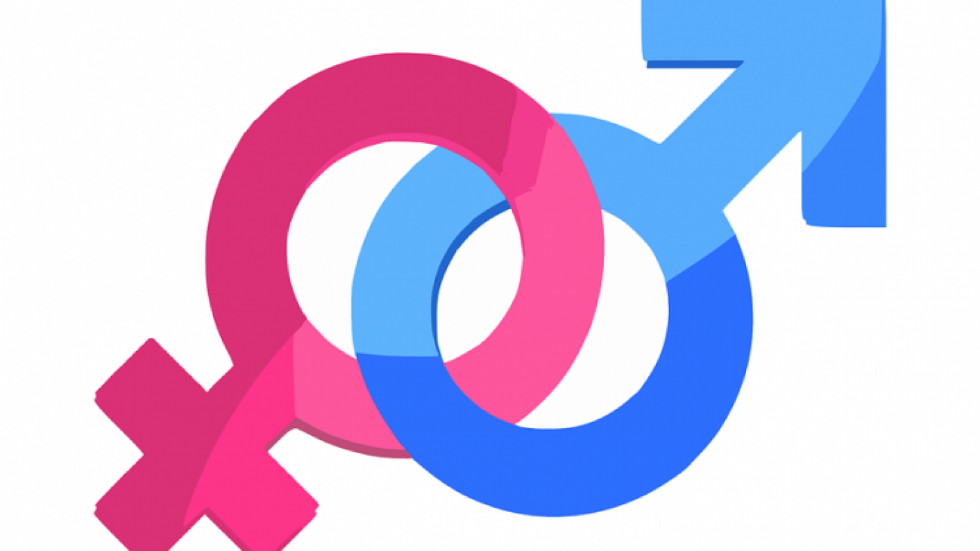 term-paper-pos1041-gender-discrimination-the-effects-of-gender